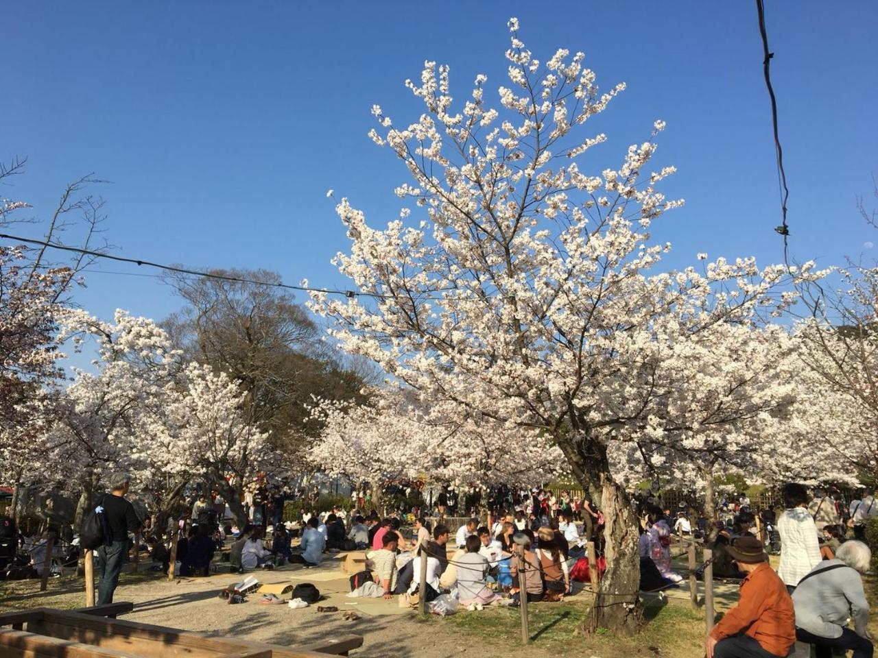 美築八坂 Kyoto Dış mekan fotoğraf